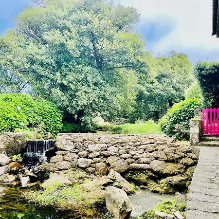 & River Afife Villa